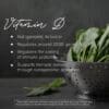 Daily Wellness - Ingredients Vitamin D