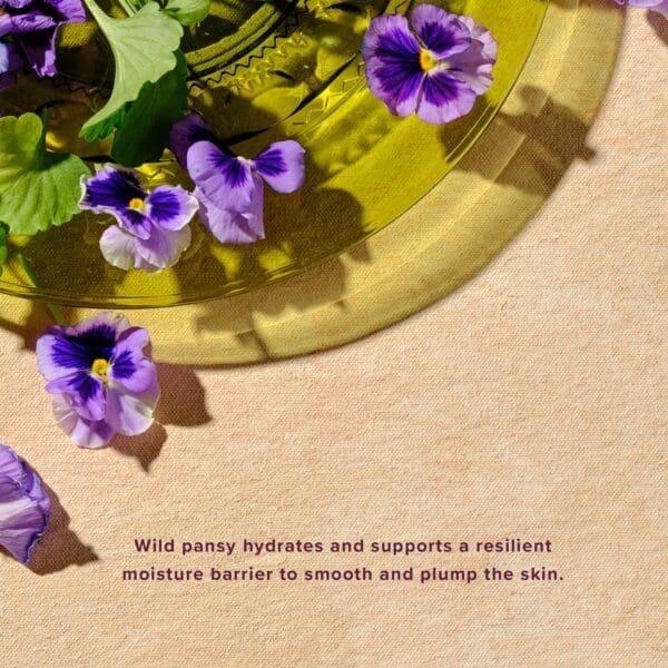 TrueScience TrueRenew daily firming