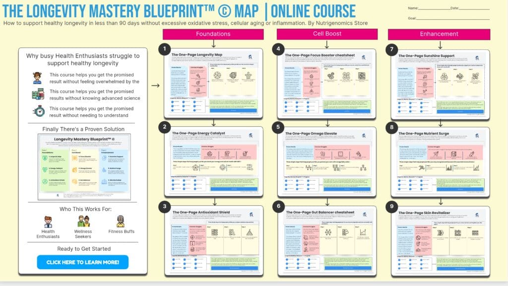 Levensduur Mastery Blauwdruk Eén Pagina Kaart