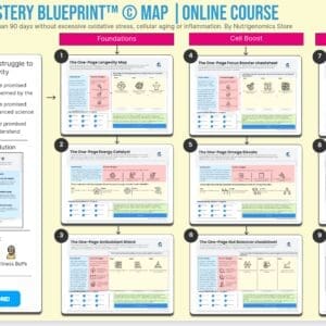 Longevity Mastery Blueprint One Page Map