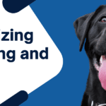 Revolutionizing Canine Aging Nutrigenomics and Dog Health Explored