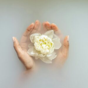 Hands holding a white flower in serene milky water, perfect for spa and wellness themes.