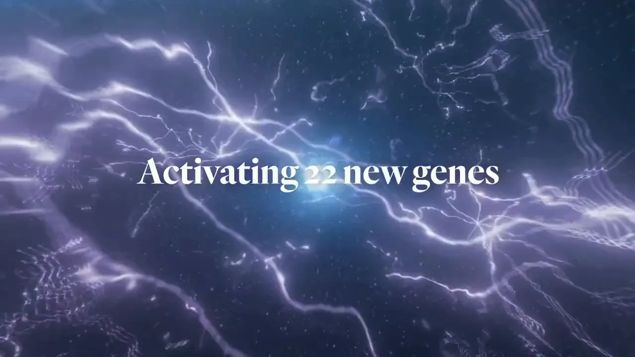 Nutrigenomics Natural Glp 1 Peso Saludable Suplementos Visión General 6 Representación de la activación de los genes en apoyo del cableado y la función de los órganos
